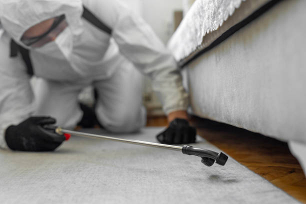 Professional Termite Control technician working in Fort Myers Beach, FL