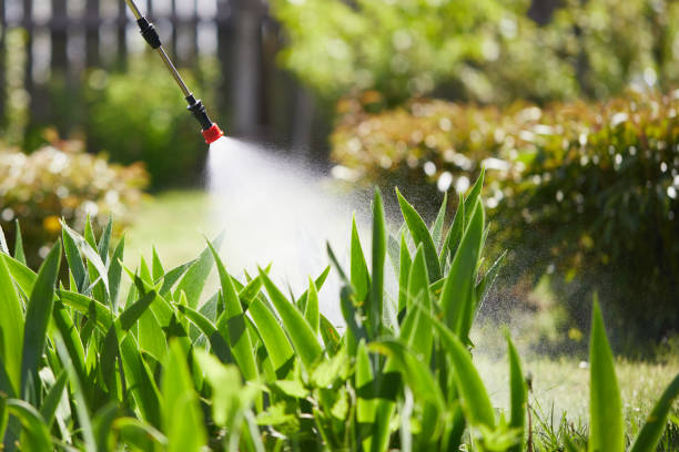24/7 Emergency Termite Control experts in Fort Myers Beach, FL